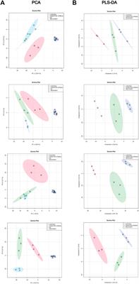 Comprehending Cardiac Dysfunction by Oxidative Stress: Untargeted Metabolomics of In Vitro Samples